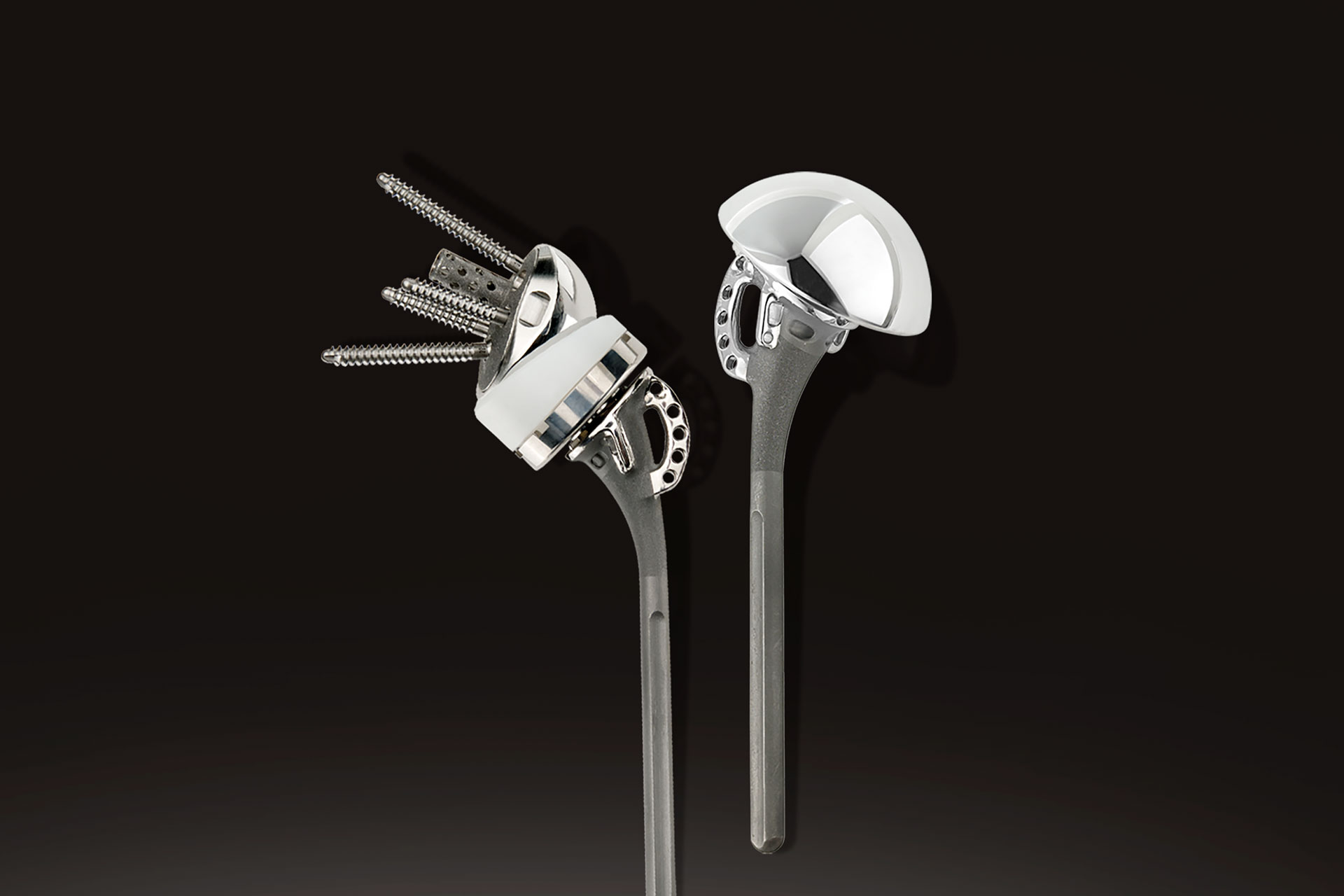 Equinoxe Fraktur Schultersystem